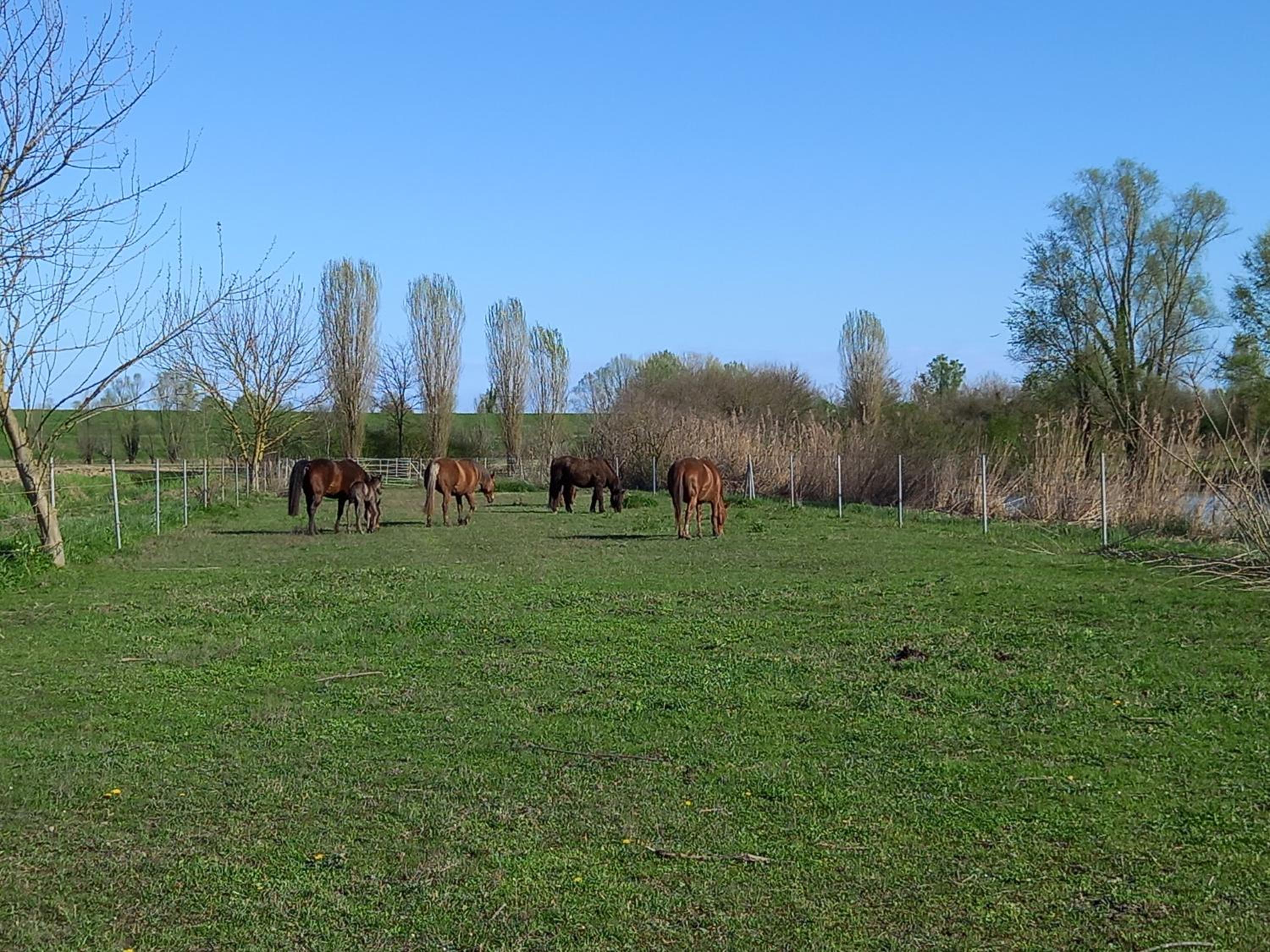 Agriturismo Adriano Pedretti
