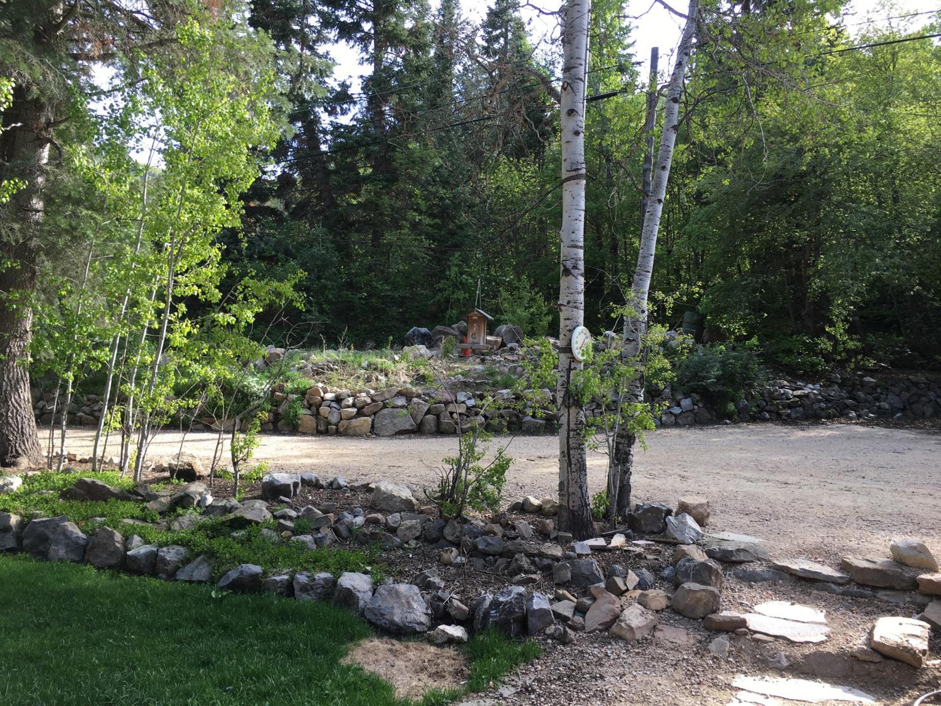 Photo 51