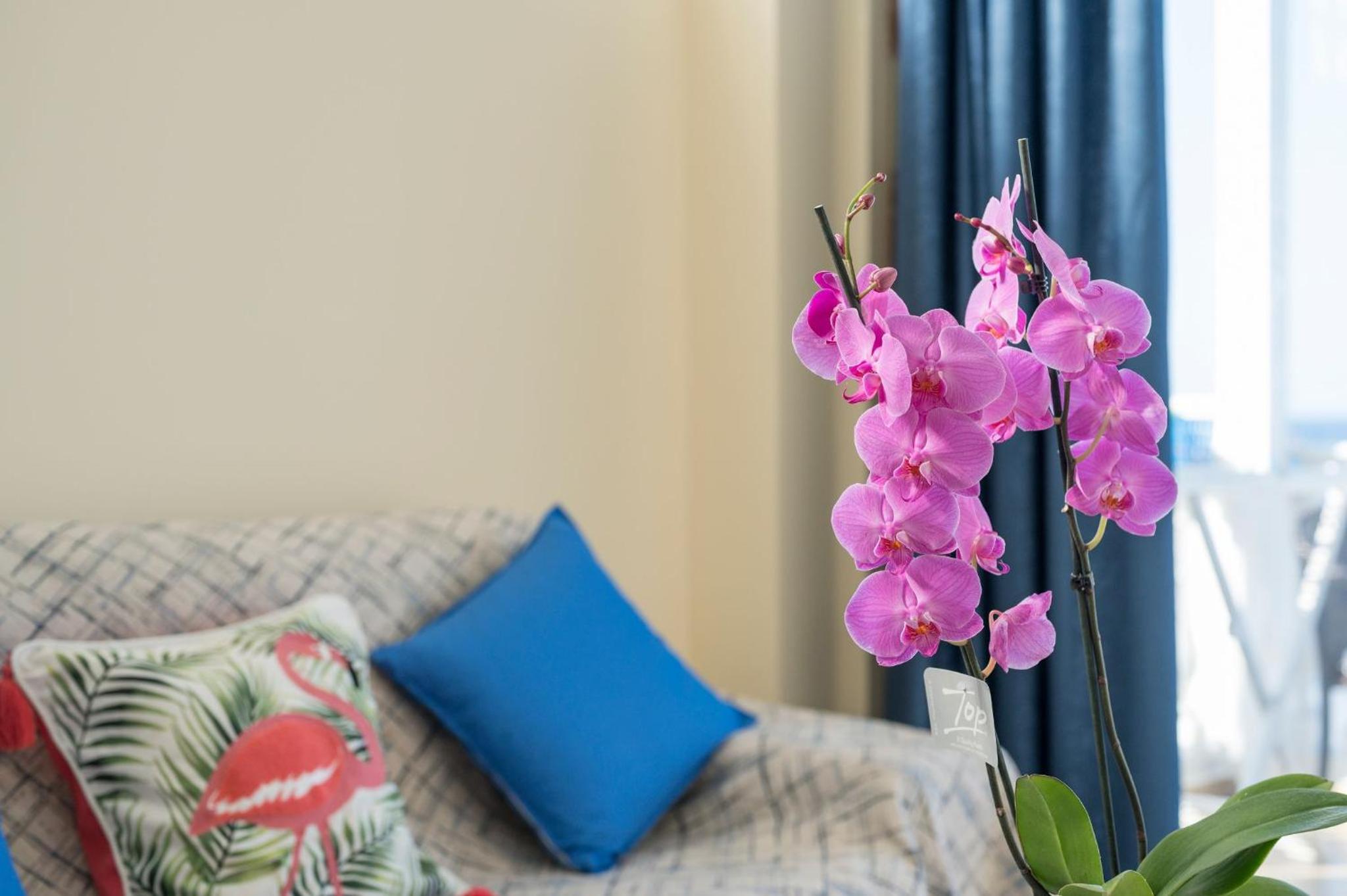 Kyma beach accommodation Poseidon apartment 6 guests photo 4