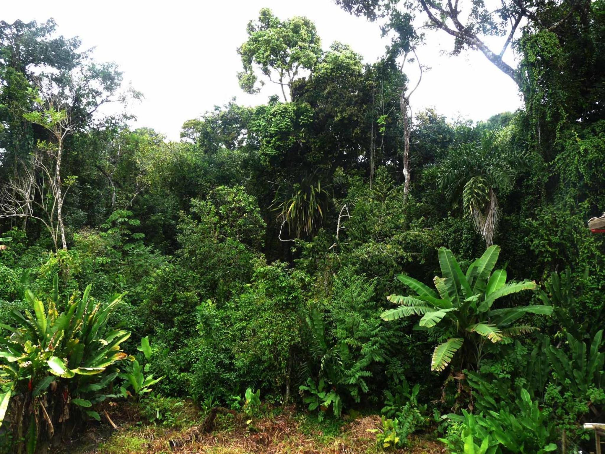 Photo 25