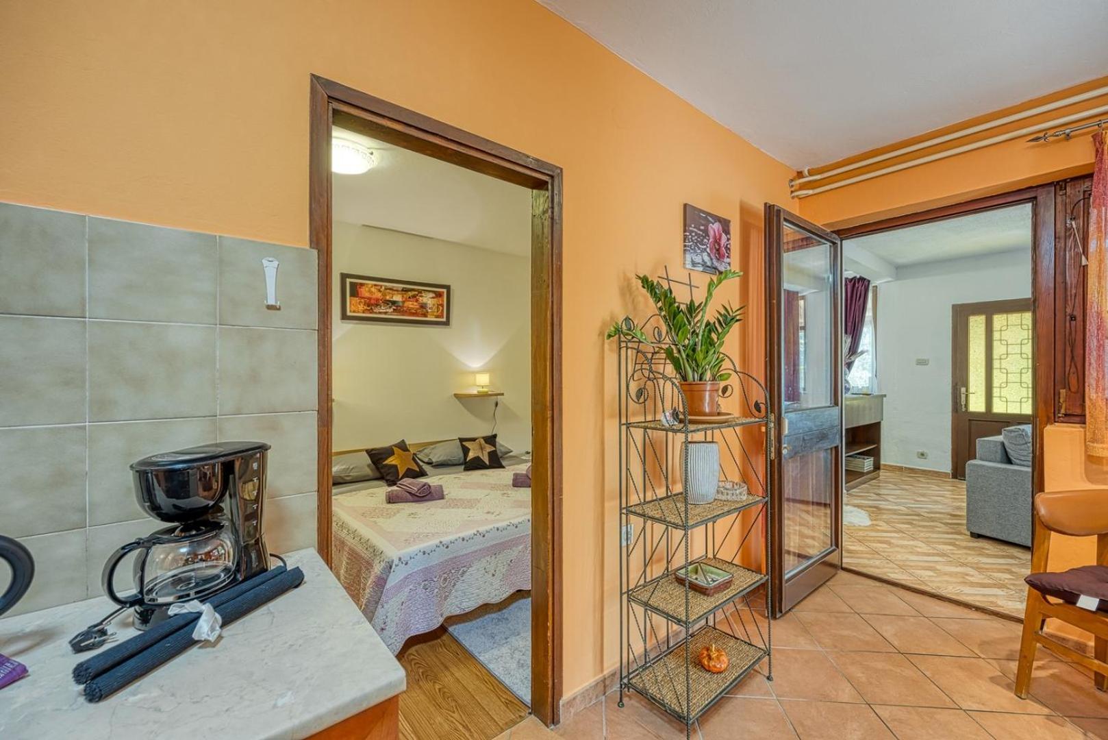 Pleasure Apartment