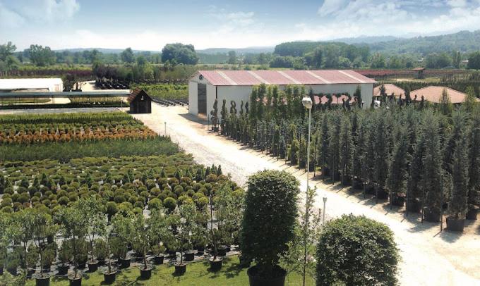 Serbesler Botanik, No 1 Comfortable Villa view 2