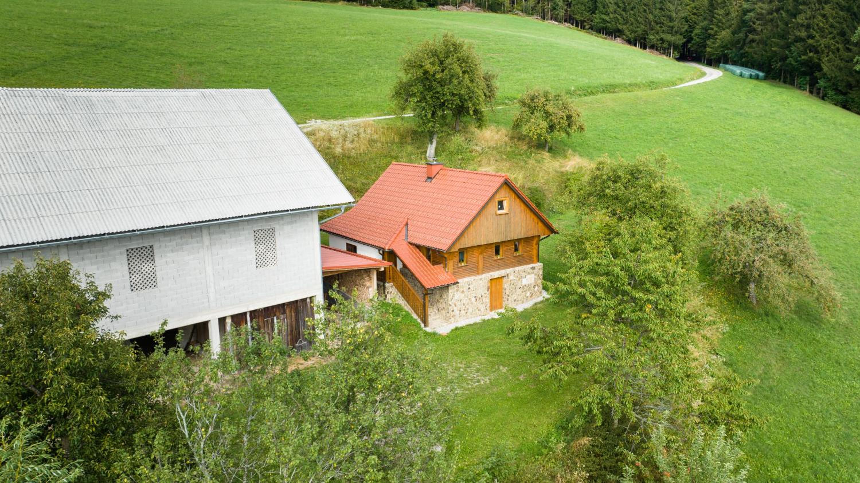 Photo 6