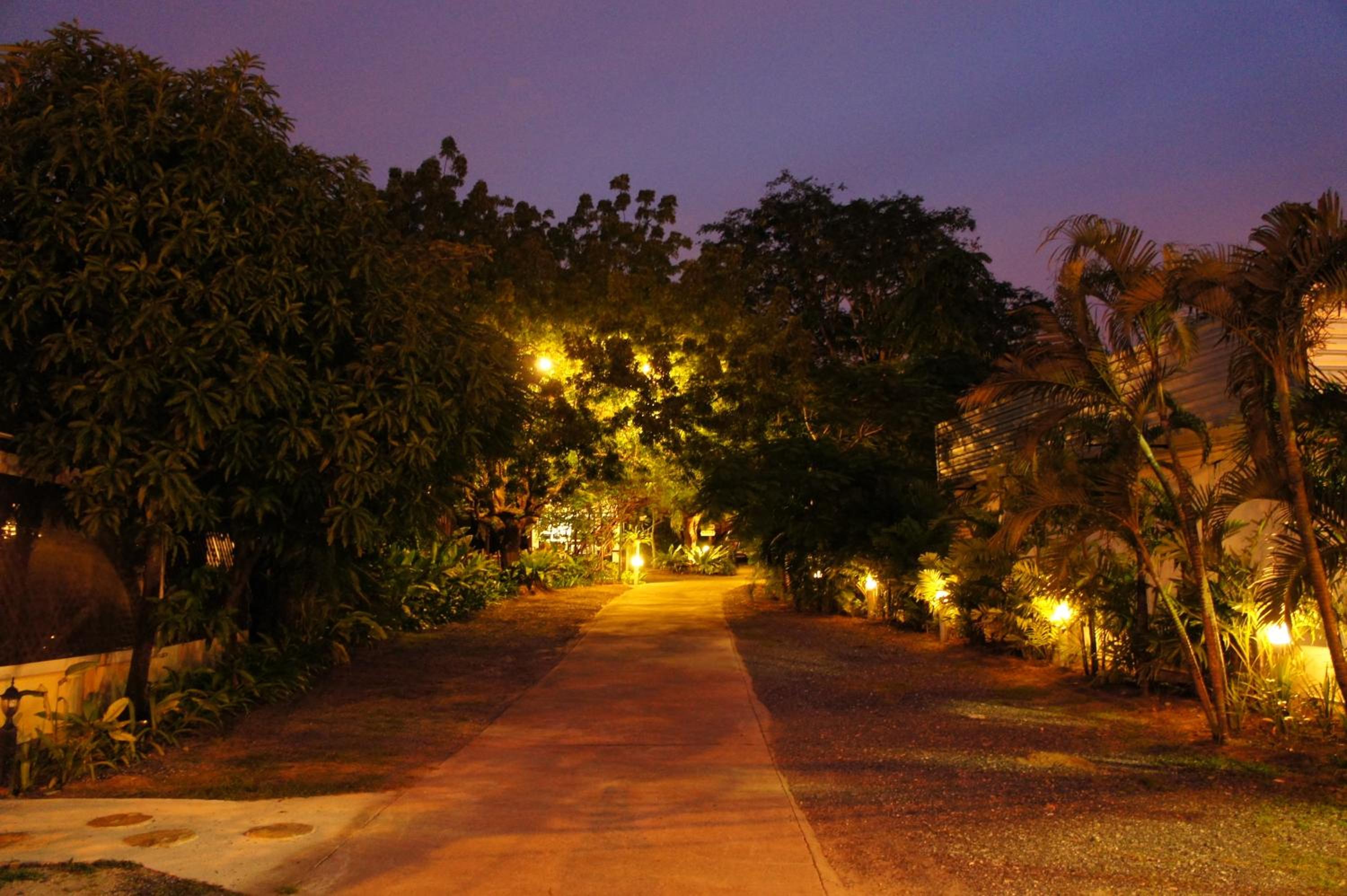 Palm Village
