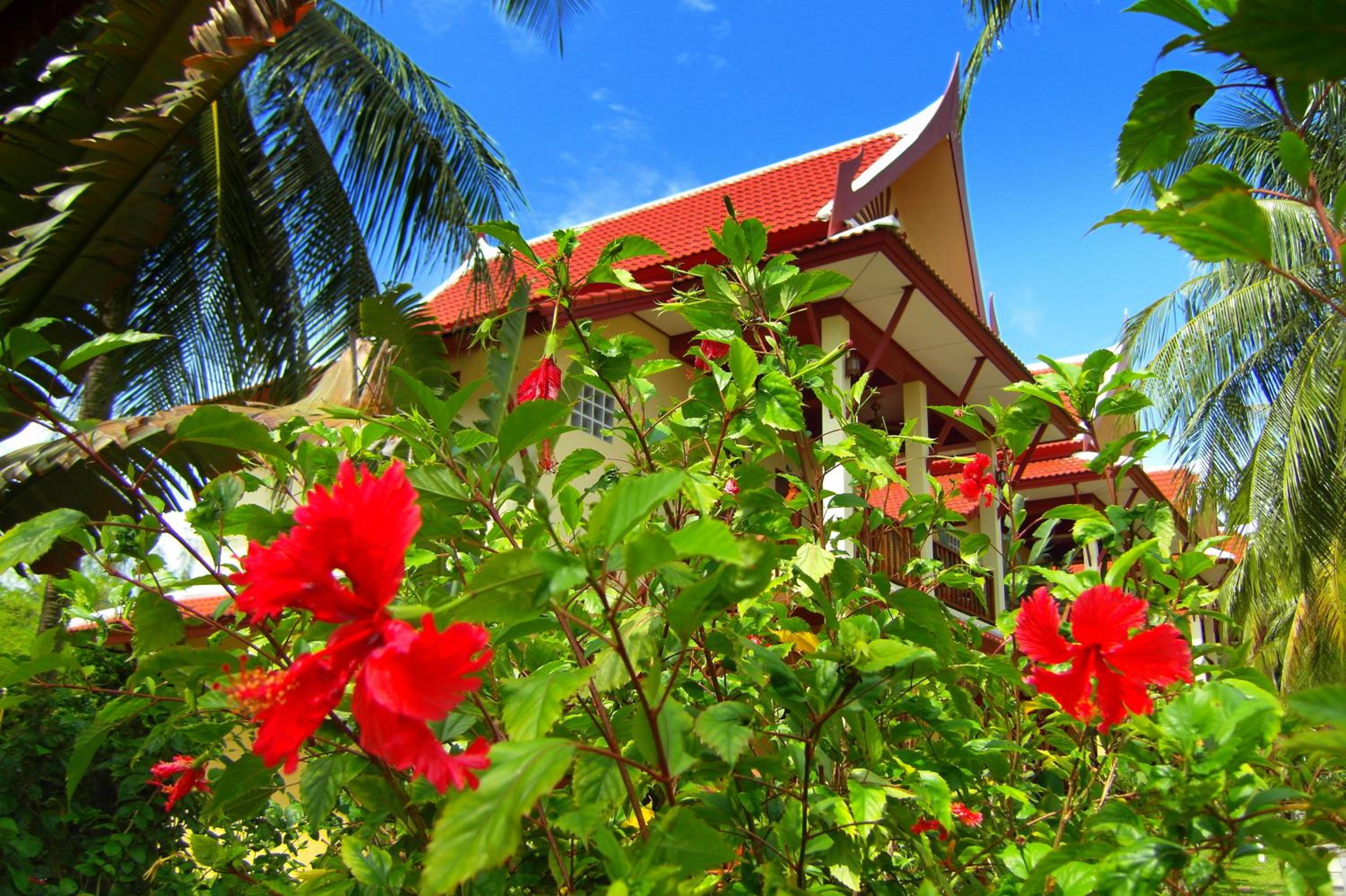 Palm Village