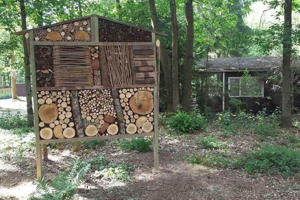 Vakantie Bos Huisje “Meibloempje”