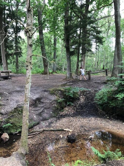 Vakantie Bos Huisje “Meibloempje”