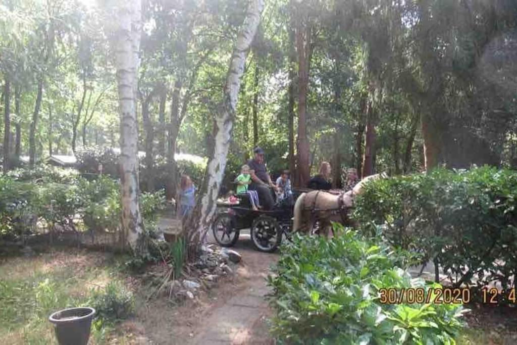 Vakantie Bos Huisje “Meibloempje”