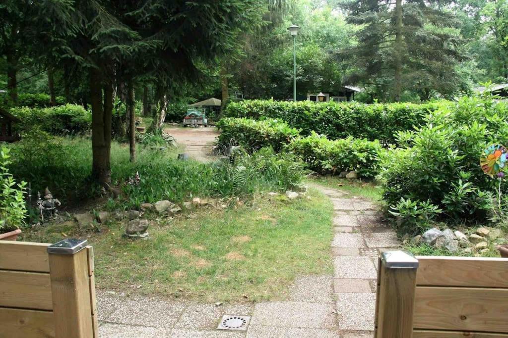 Vakantie Bos Huisje “Meibloempje”