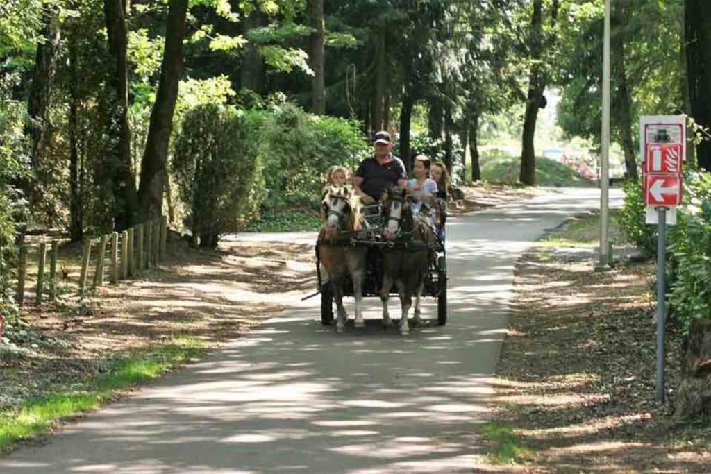 Vakantie Bos Huisje “Meibloempje”