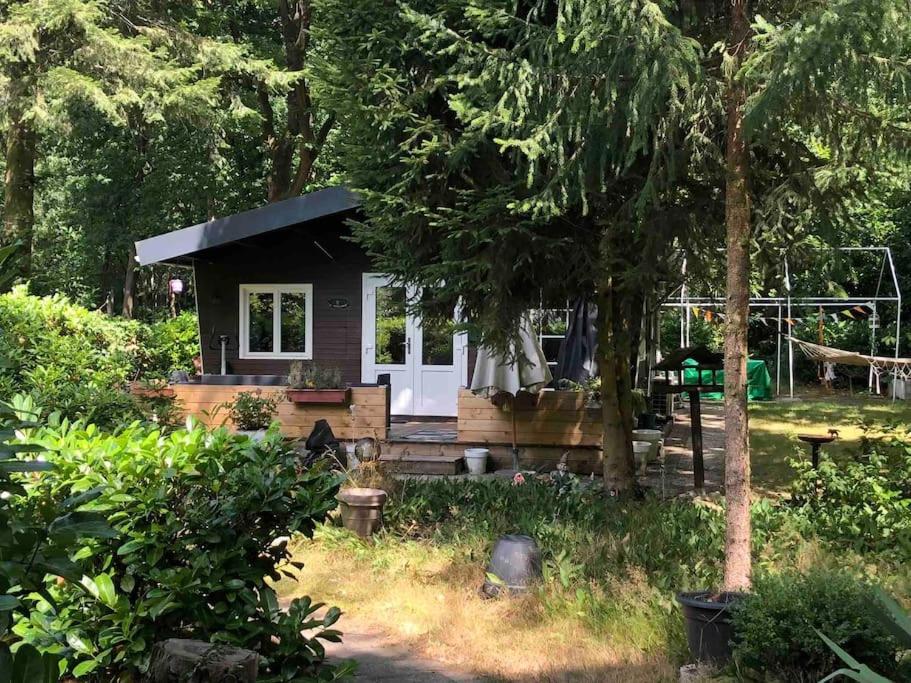 Vakantie Bos Huisje “Meibloempje”