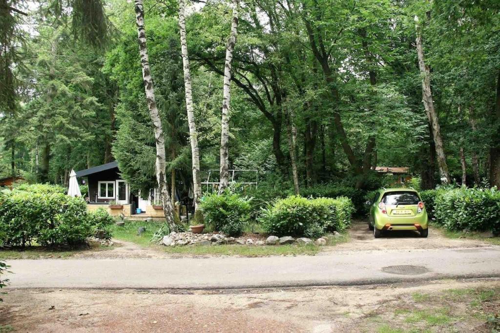 Vakantie Bos Huisje “Meibloempje”