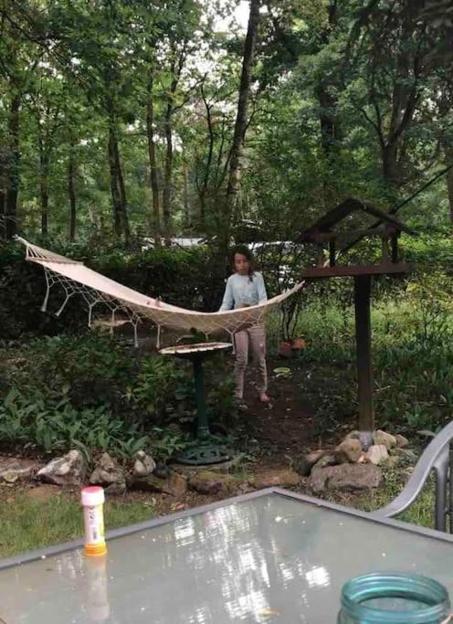 Vakantie Bos Huisje “Meibloempje”