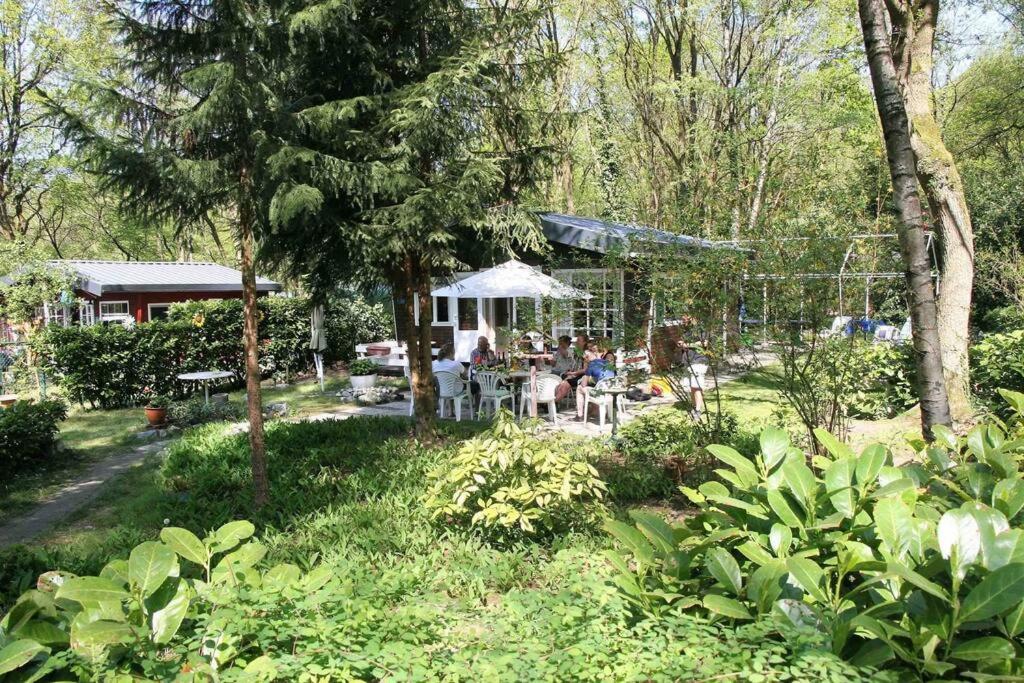 Vakantie Bos Huisje “Meibloempje”