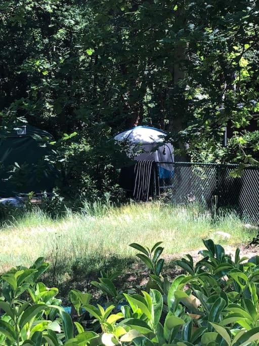 Vakantie Bos Huisje “Meibloempje”