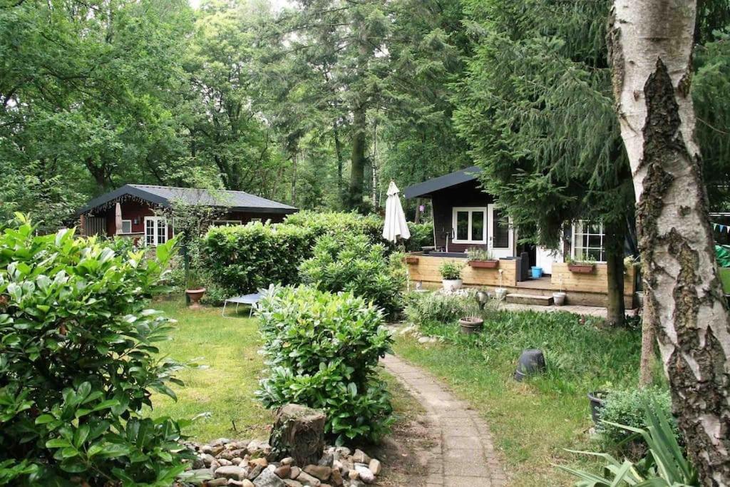 Vakantie Bos Huisje “Meibloempje”