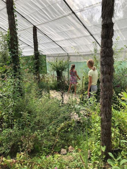 Vakantie Bos Huisje “Meibloempje”