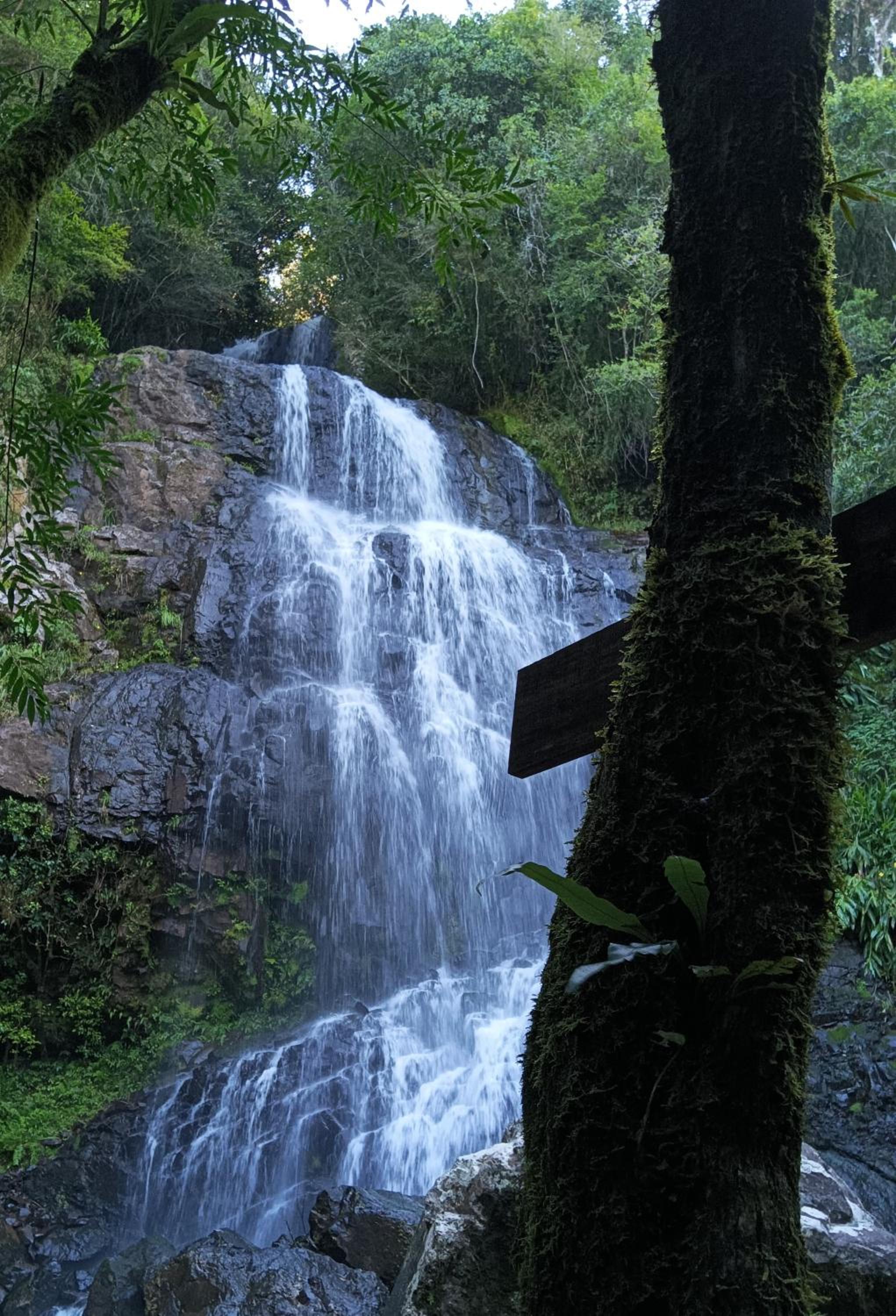 ECO PARK ALTA MIRA
