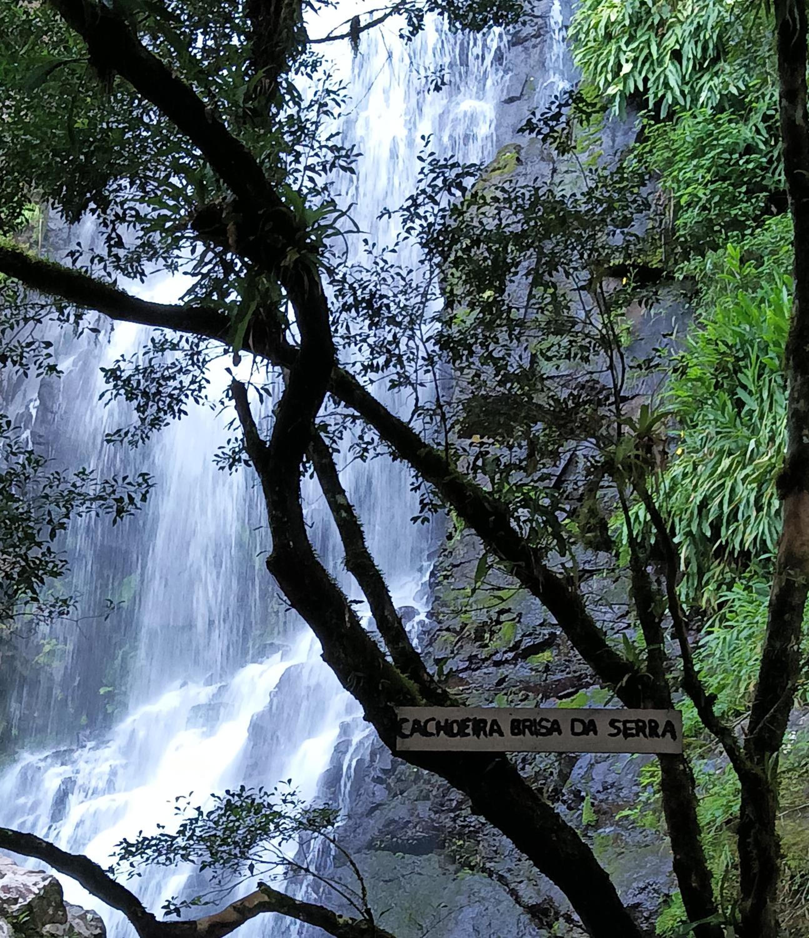 ECO PARK ALTA MIRA