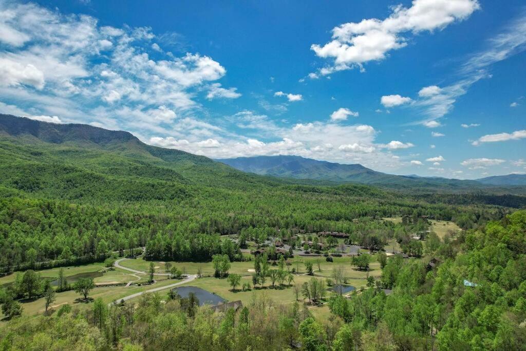 Access to 3 pools & pickleball! View! Shuffleboard! Arcade! Hot Tub! view 4