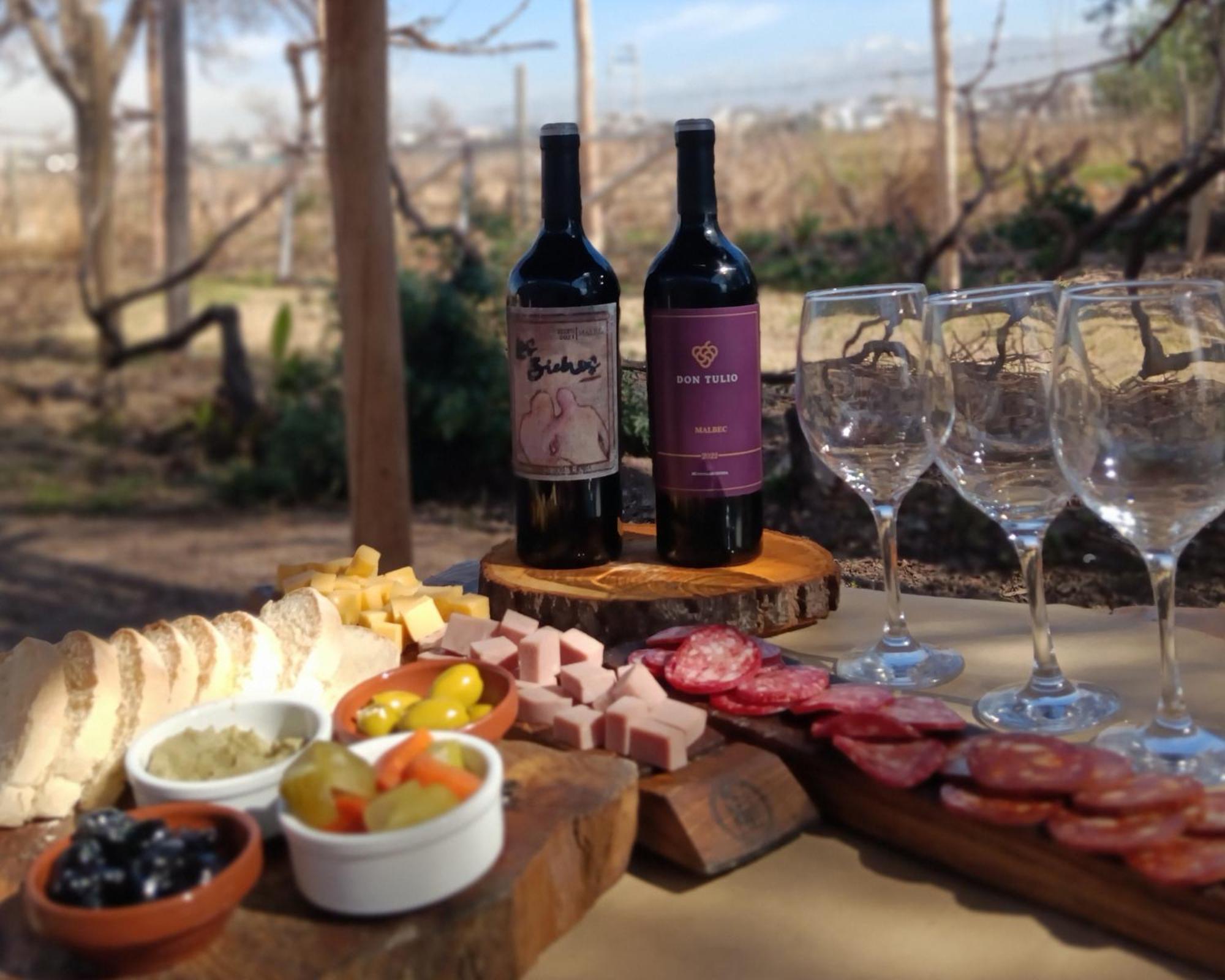 Entre racimos, glamping entre viñedos en bodega