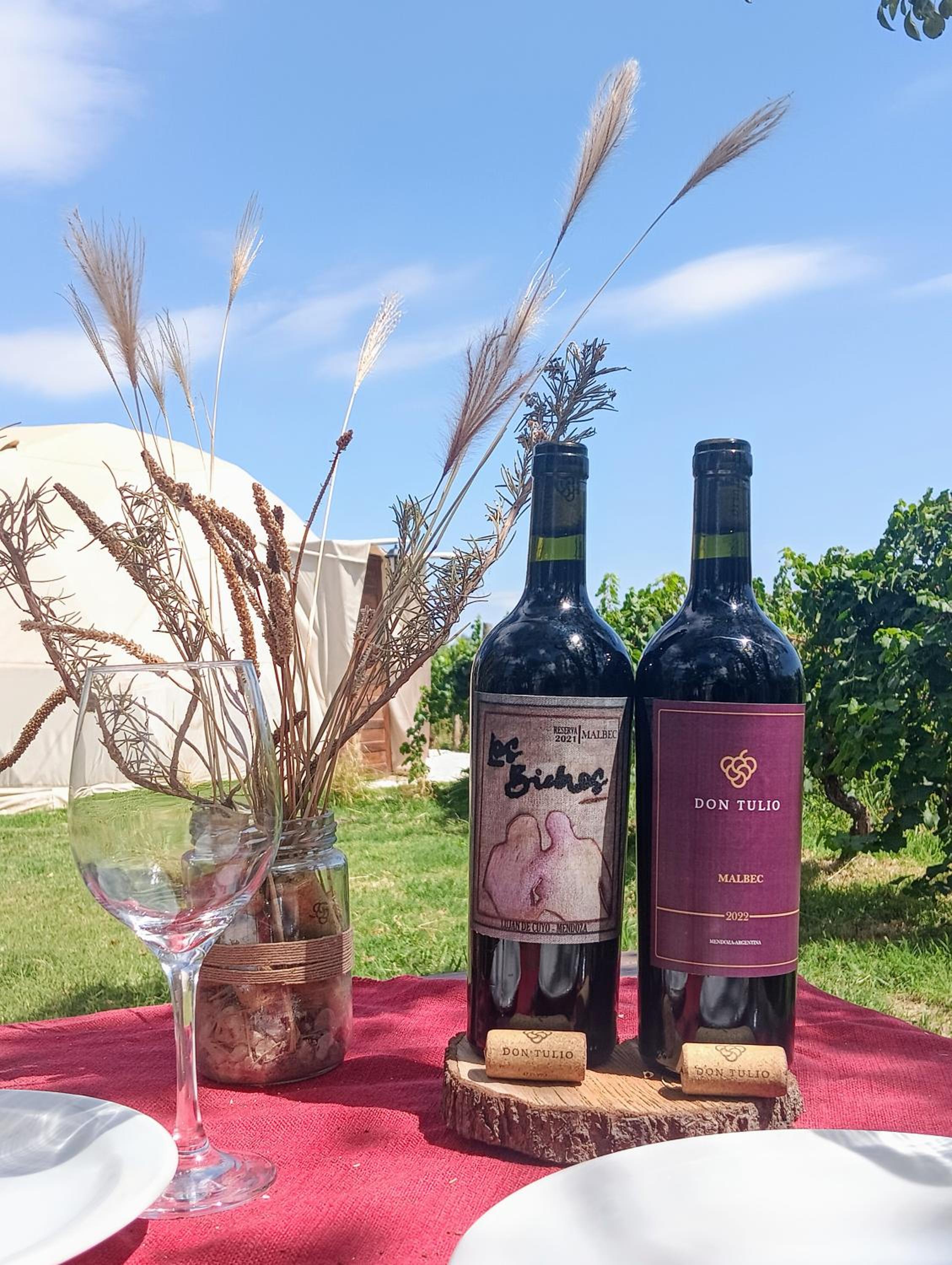 Entre racimos, glamping entre viñedos en bodega