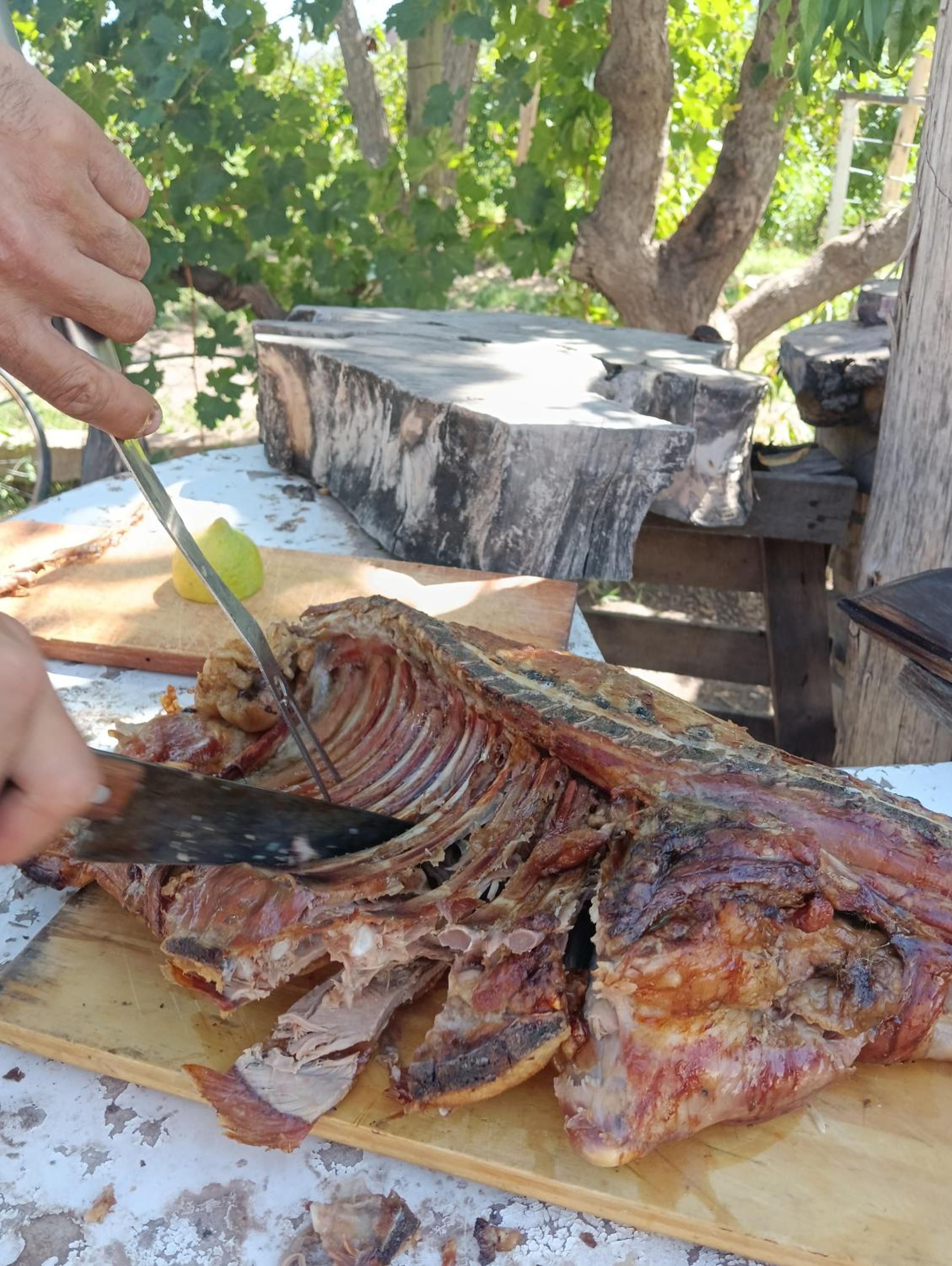 Entre racimos, glamping entre viñedos en bodega