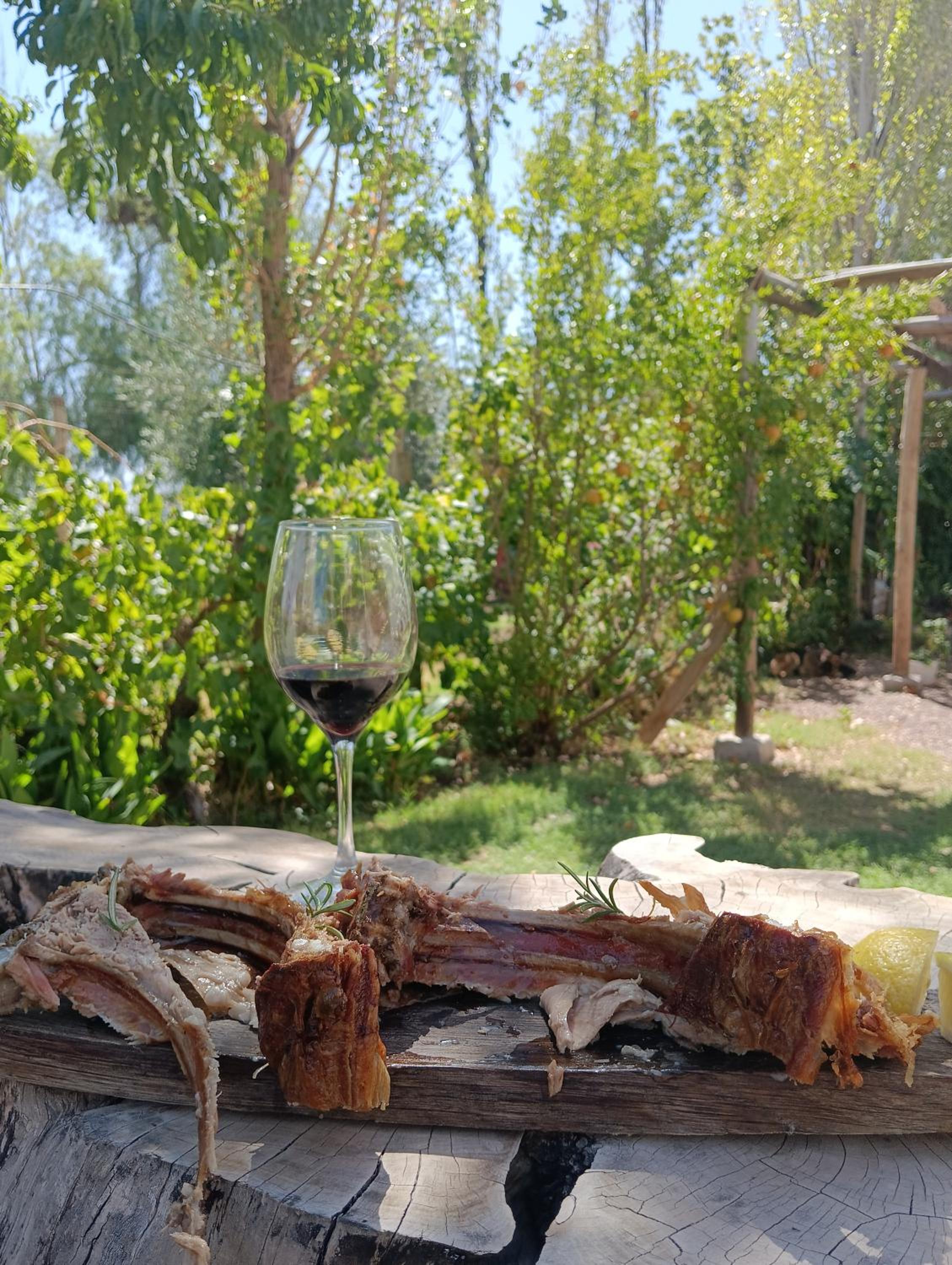 Entre racimos, glamping entre viñedos en bodega