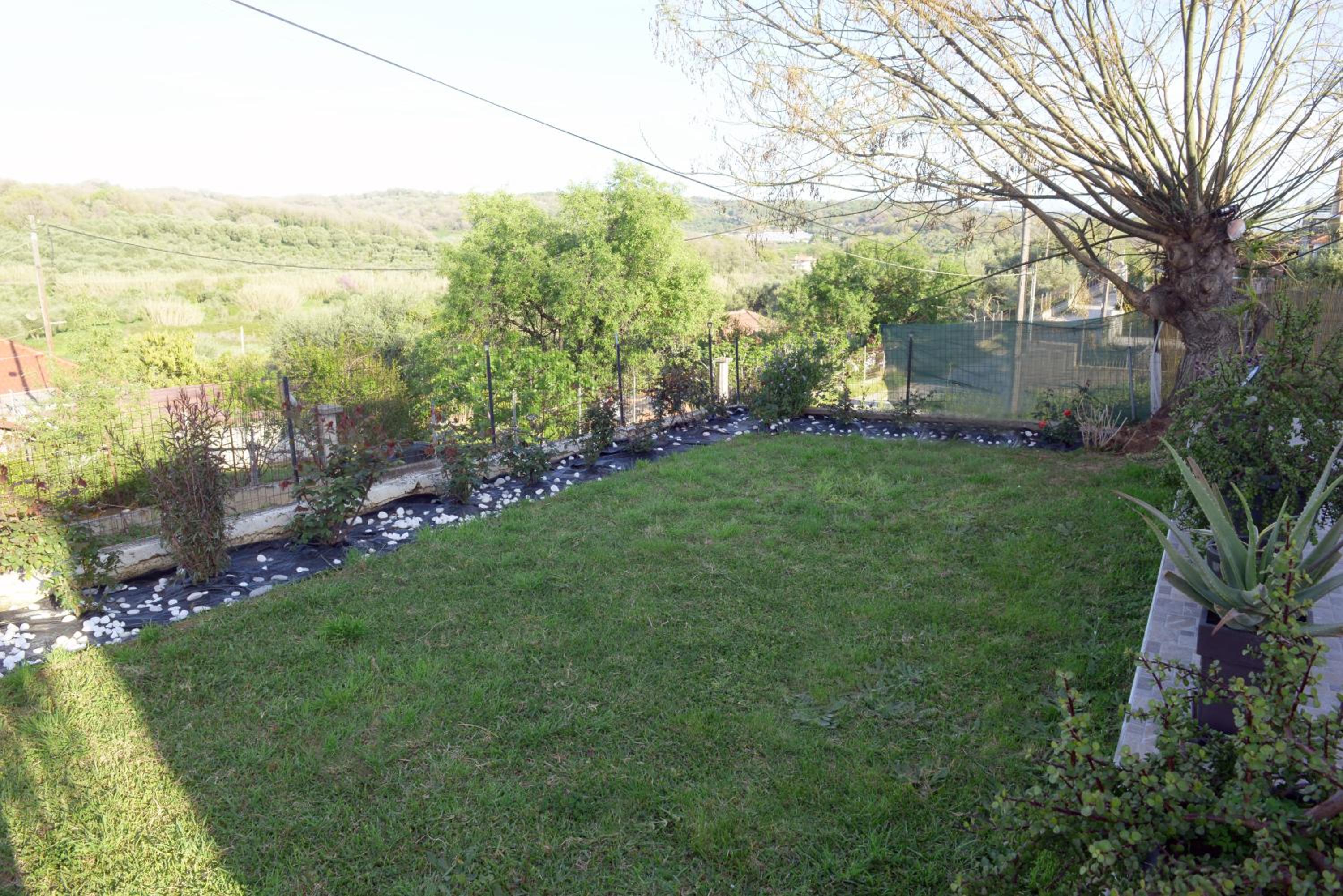 Photo 31