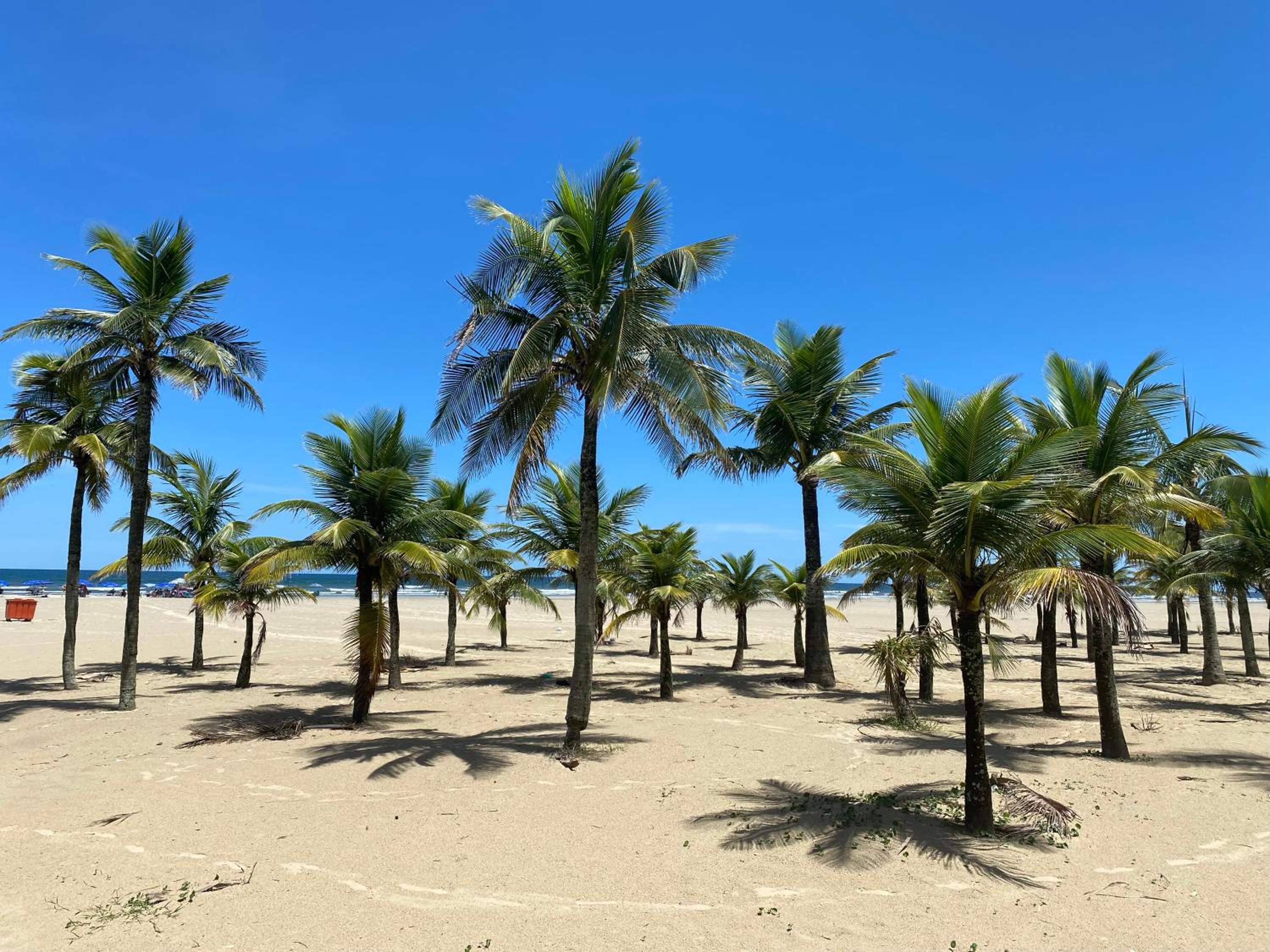 Apartamento Pé na Areia - Praia Grande
