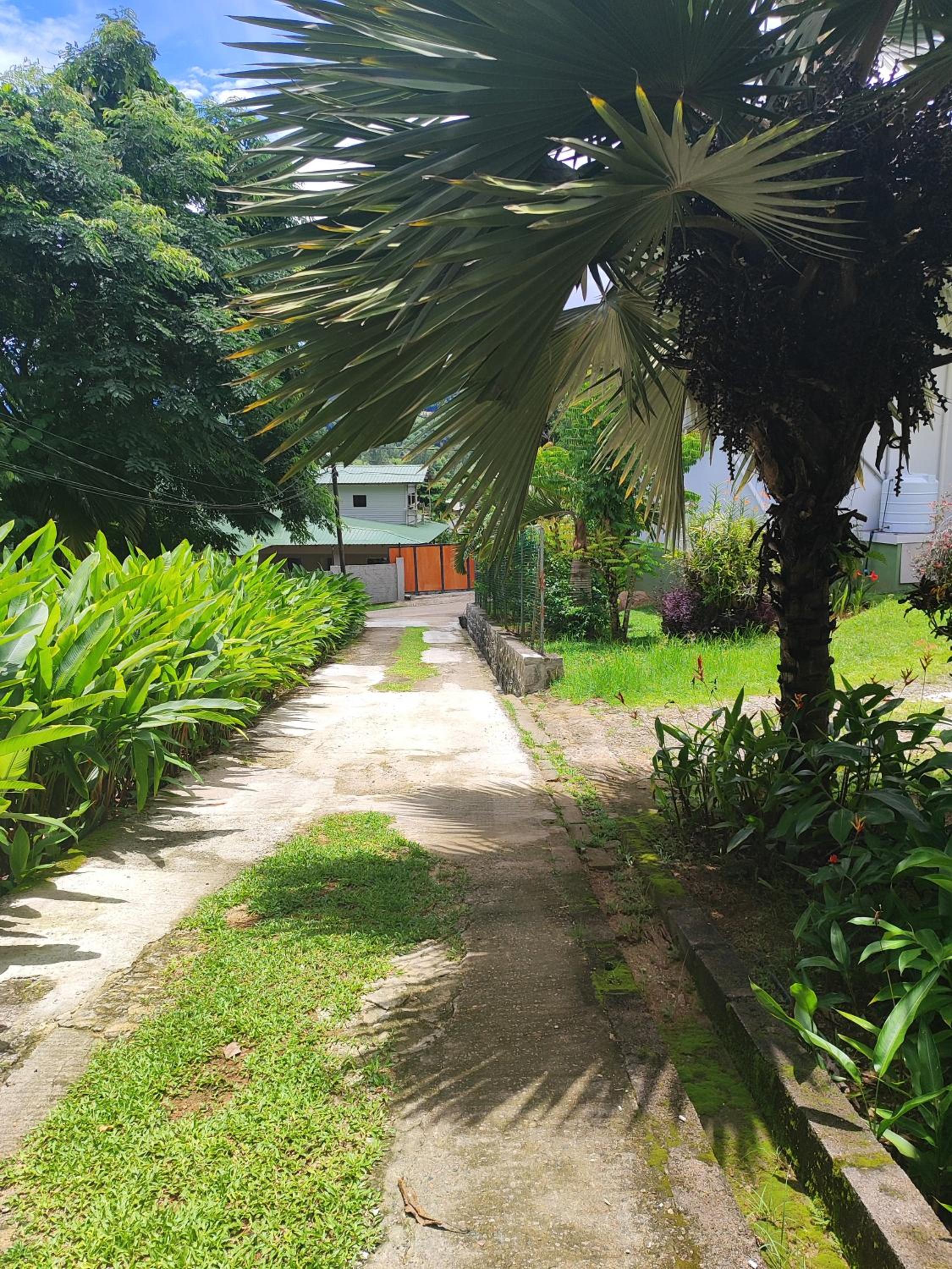 Rêve Tropical Chambres D'hôtes