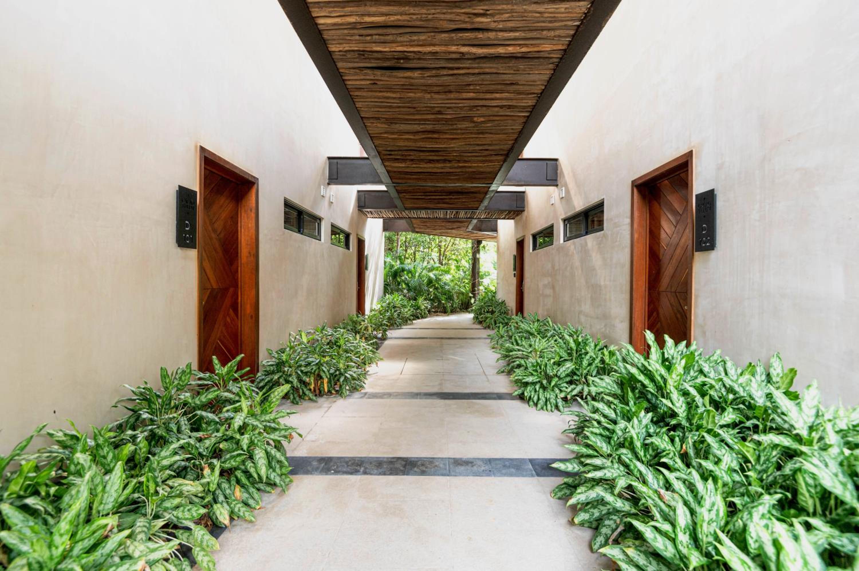 Cacao Tulum - Studio with Exterior Plunge Pool Washer & Dryer view 3