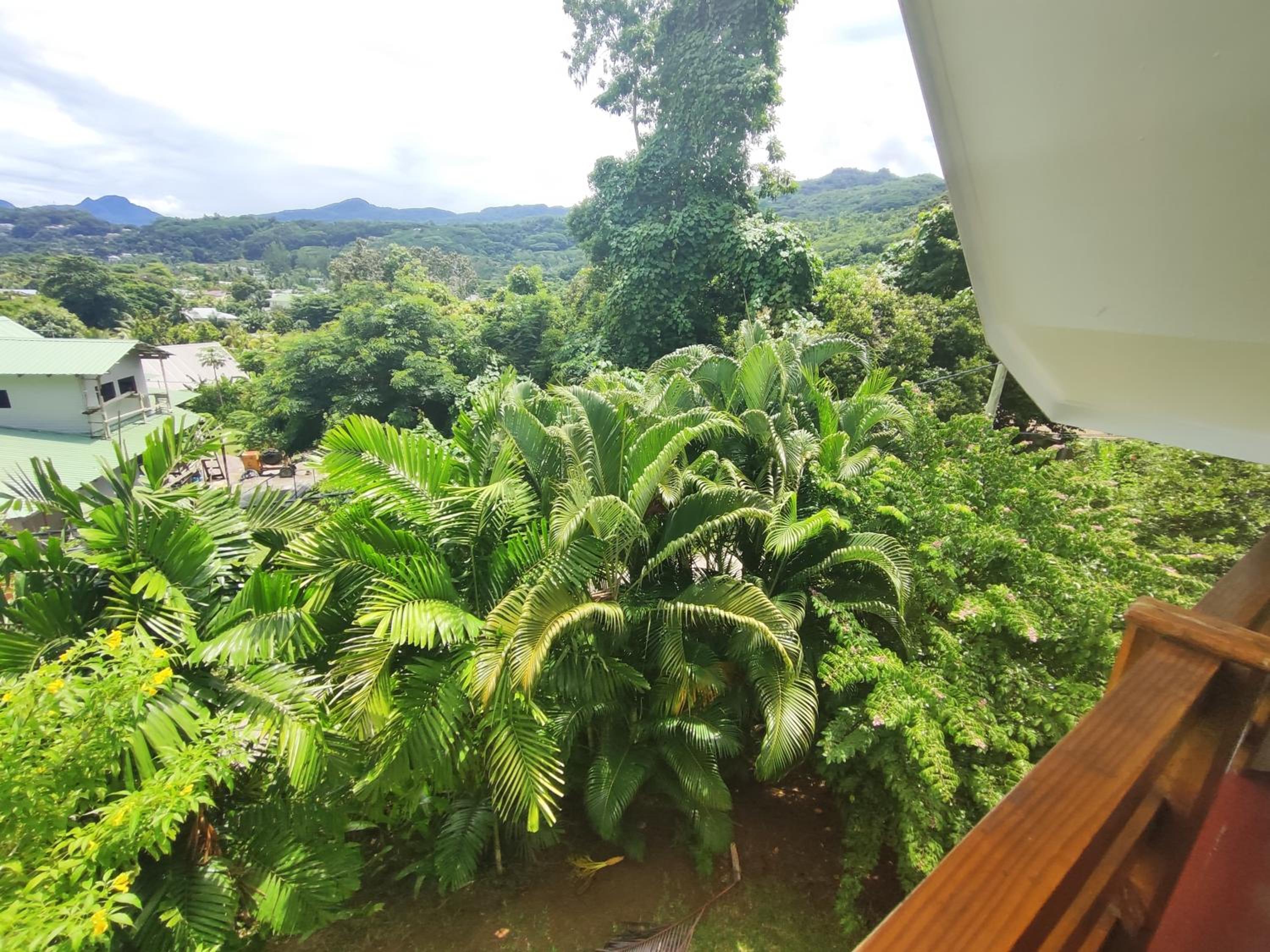 Rêve Tropical Chambres D'hôtes