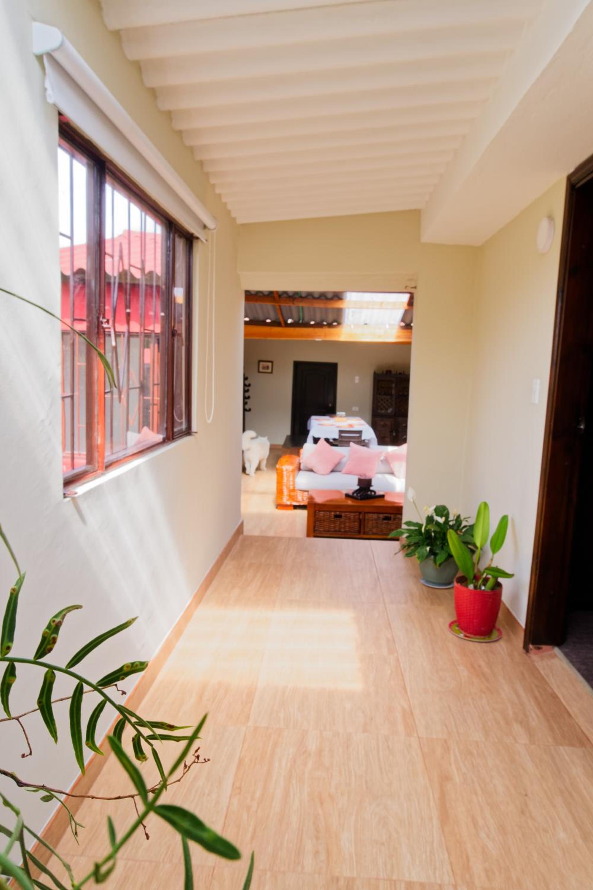 Casa Leo 