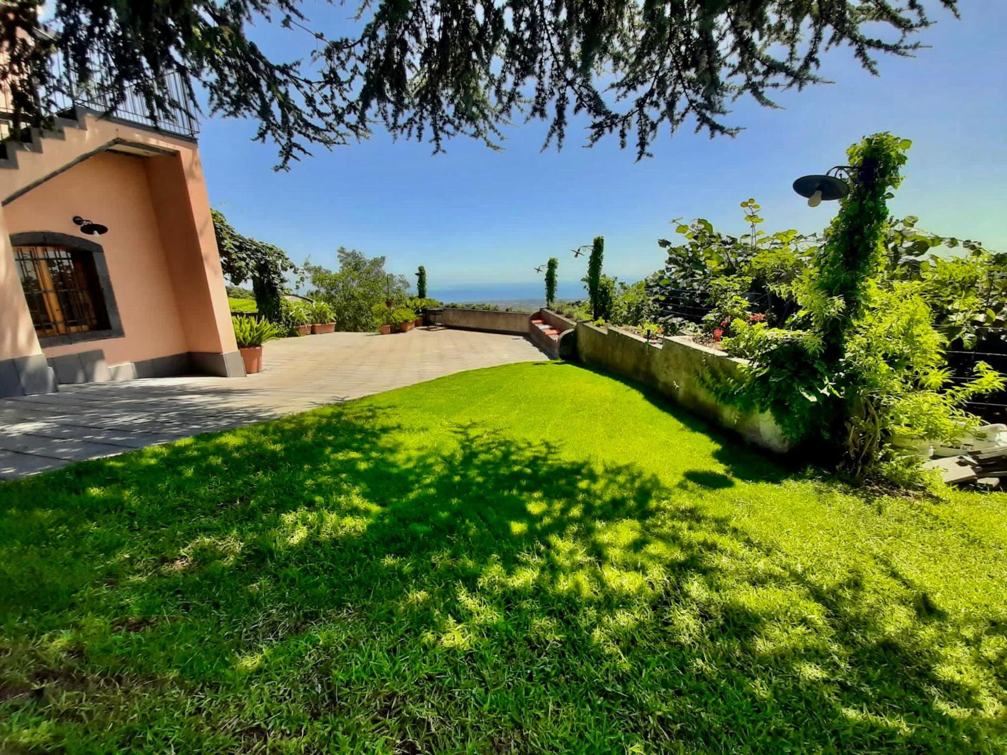 Tenuta Kiwi dell’Etna view 5