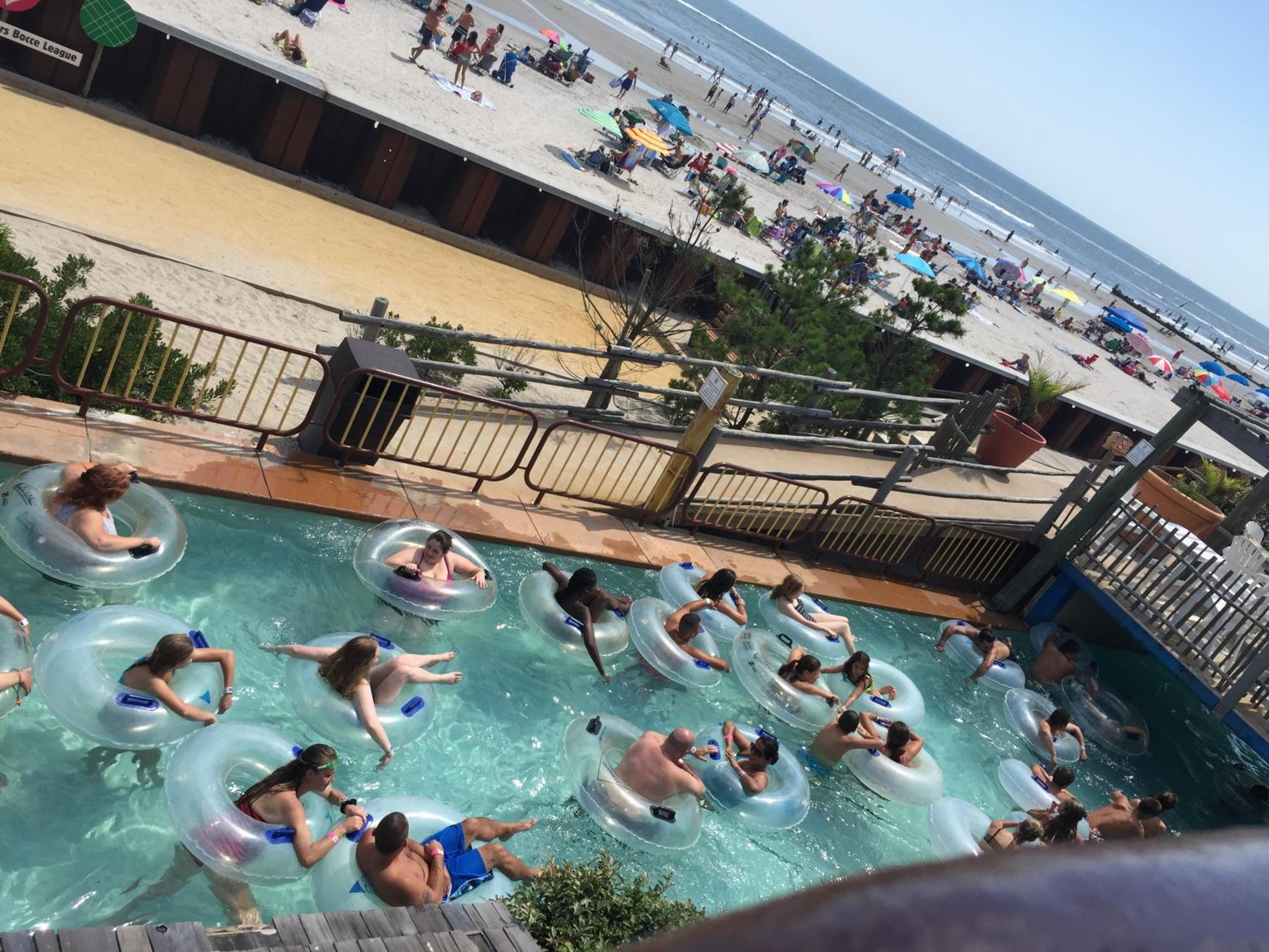 Bird of Paradise Motel