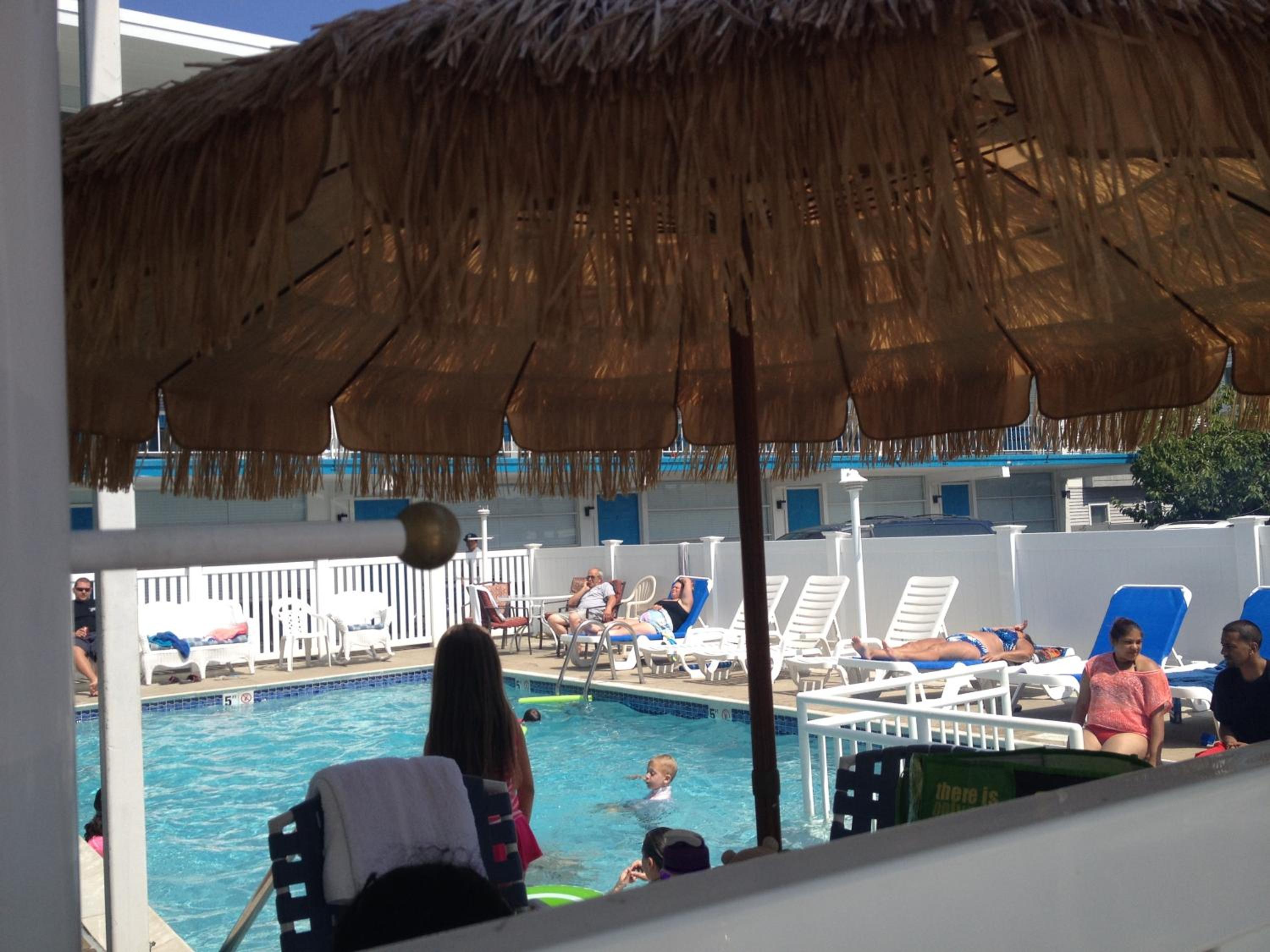 Bird of Paradise Motel