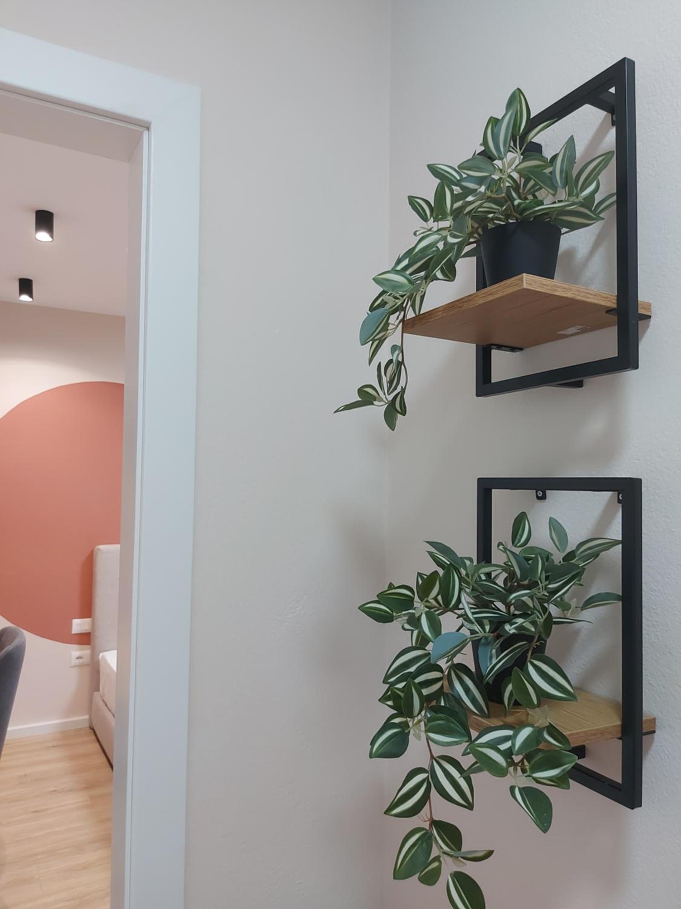 Center Cozy Nest