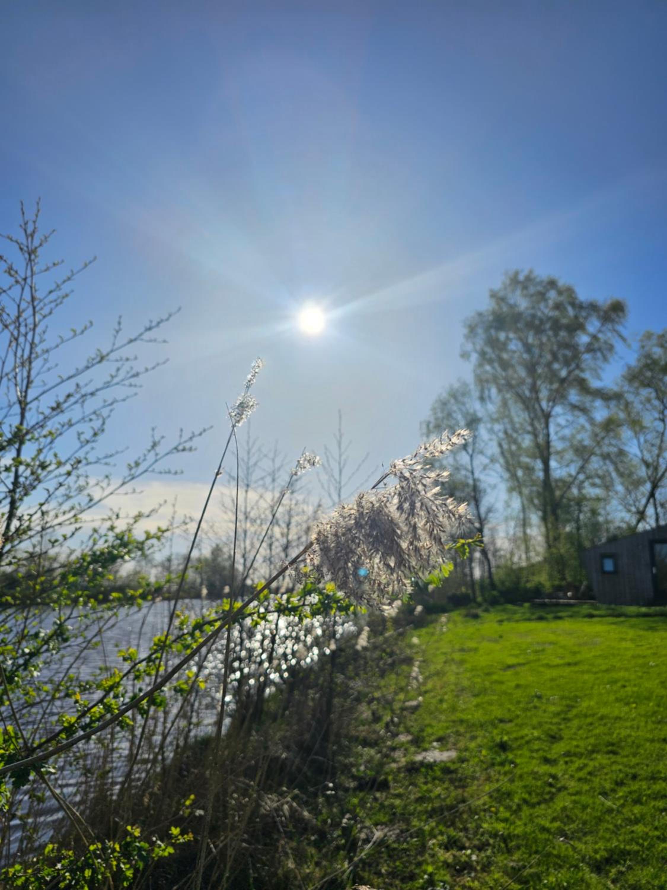 Tiny House De Skries view 5