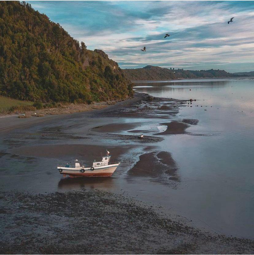ARRIENDO DIARIO PUQUELDON-CHILOE, SECTOR PLAYA LINCAY