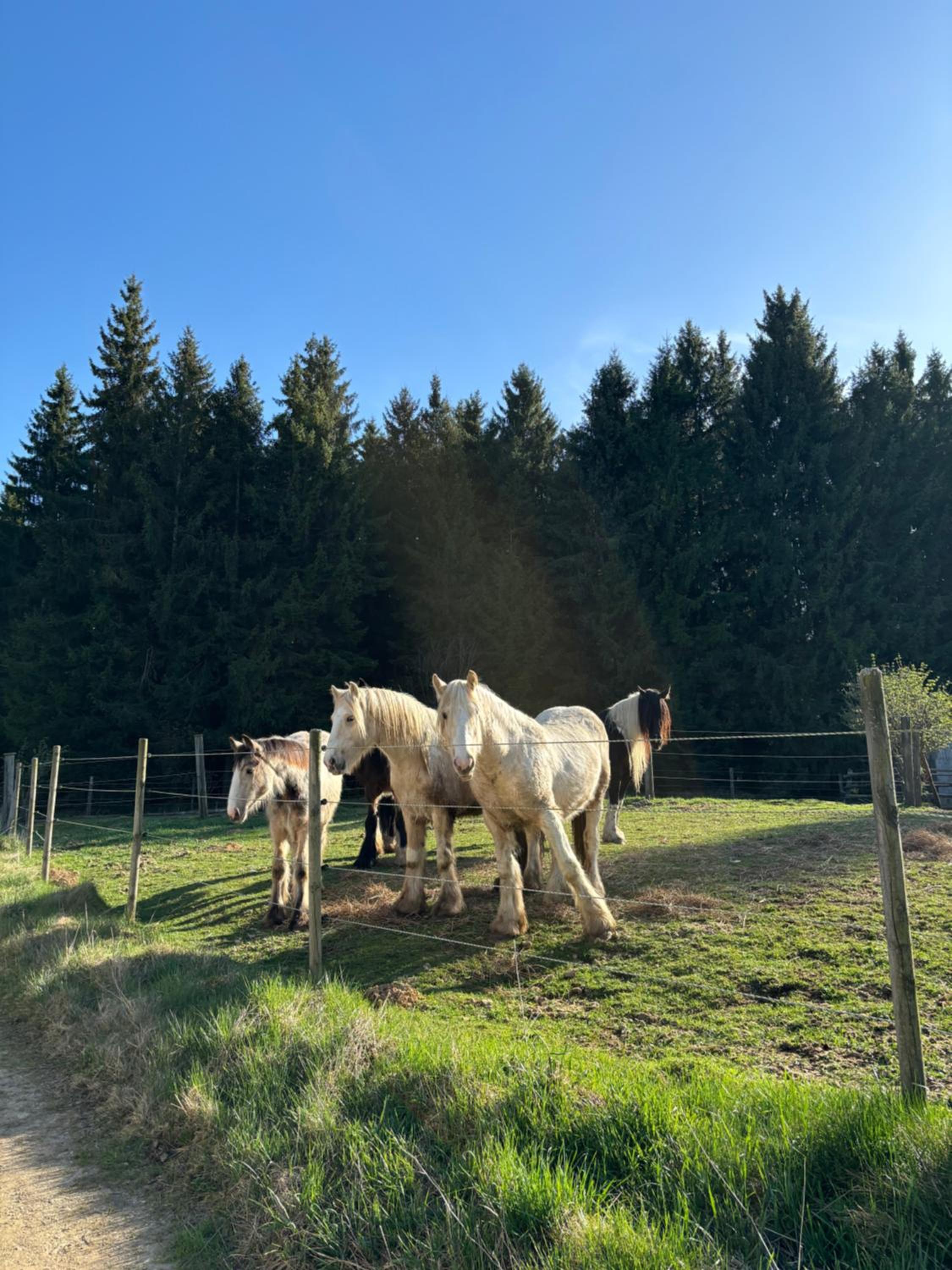 Landhaus auf der Alm
