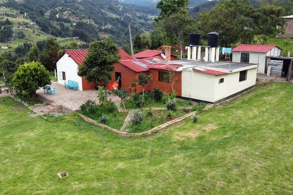 Casa Leo 