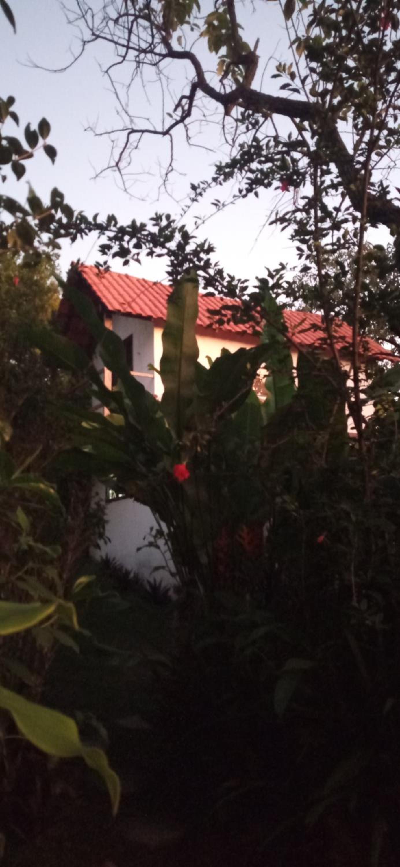 Casa do Bosque