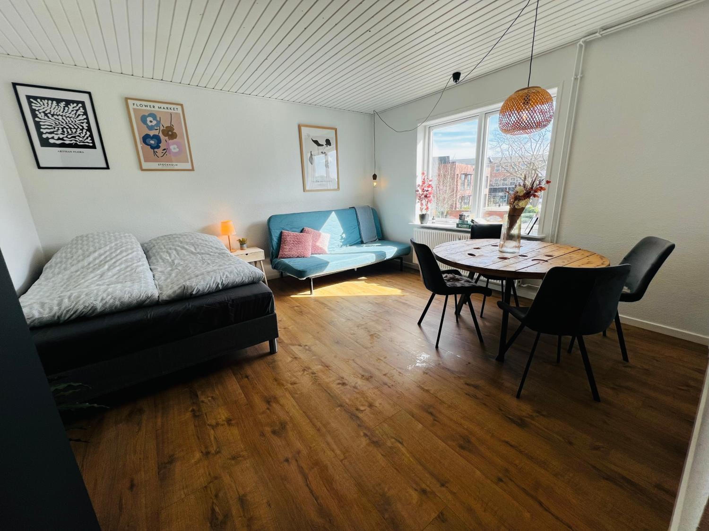 Cozy Flats Silkeborg - 1TH view 4