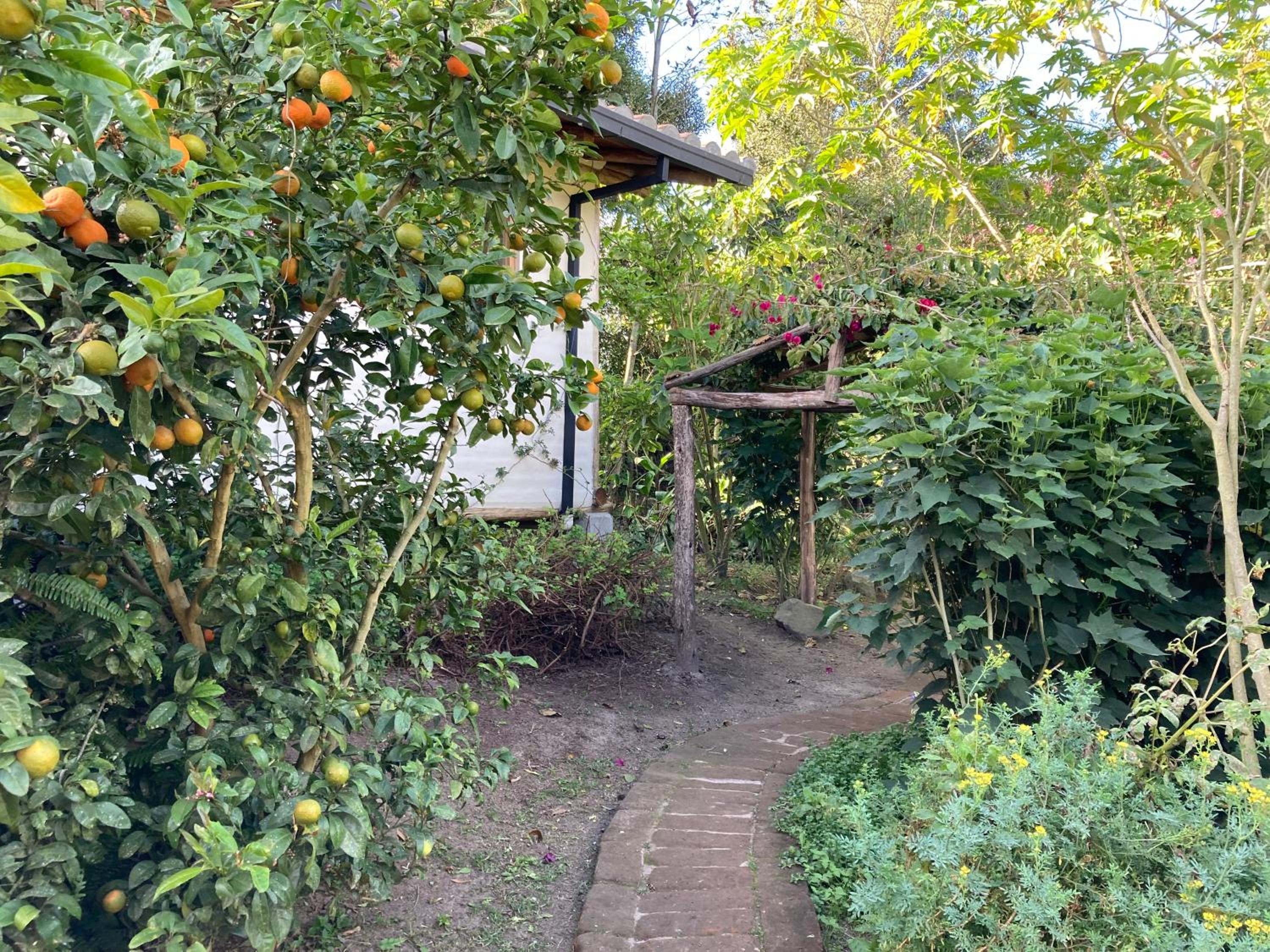 Casa Semilla