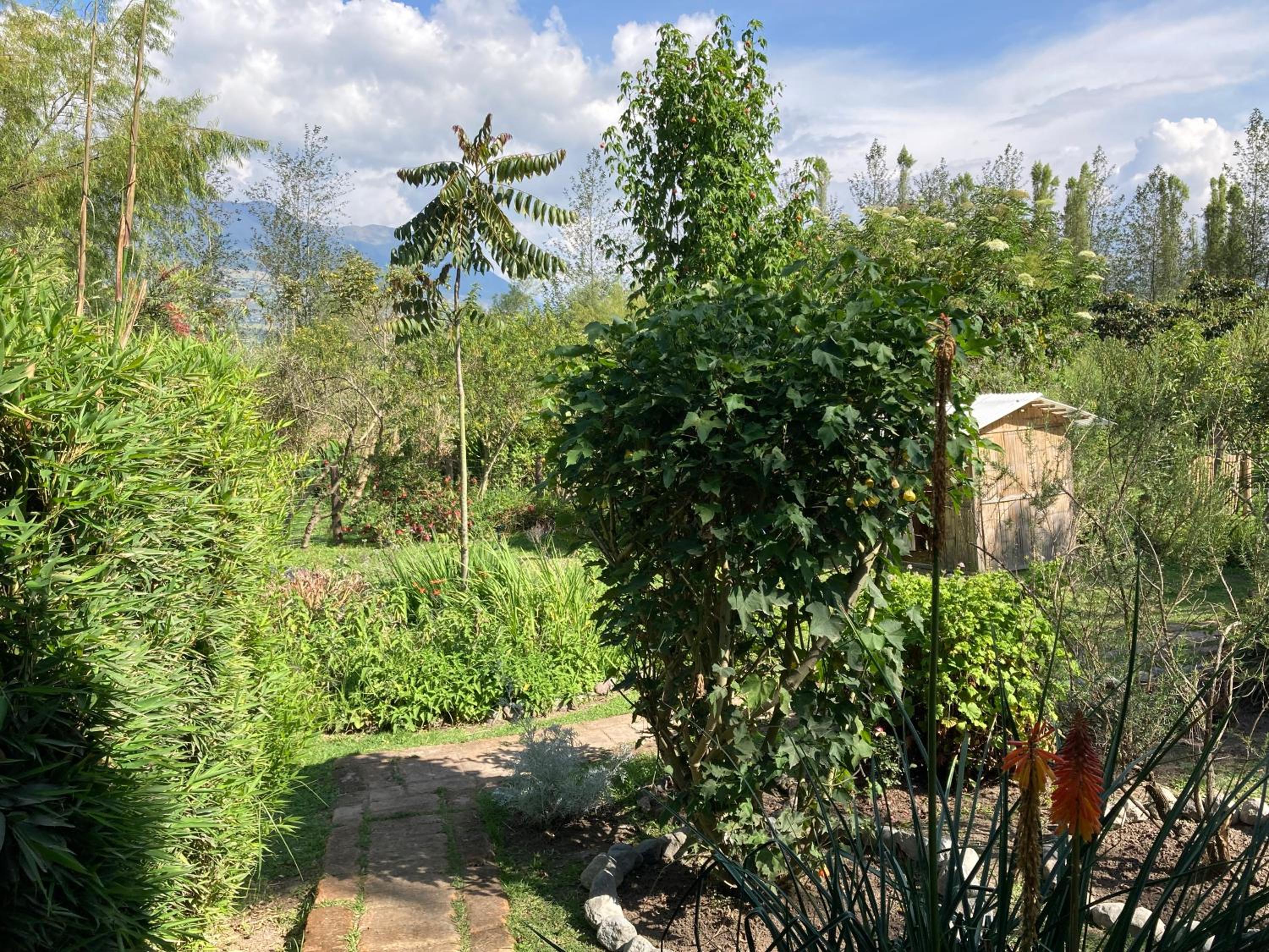Casa Semilla