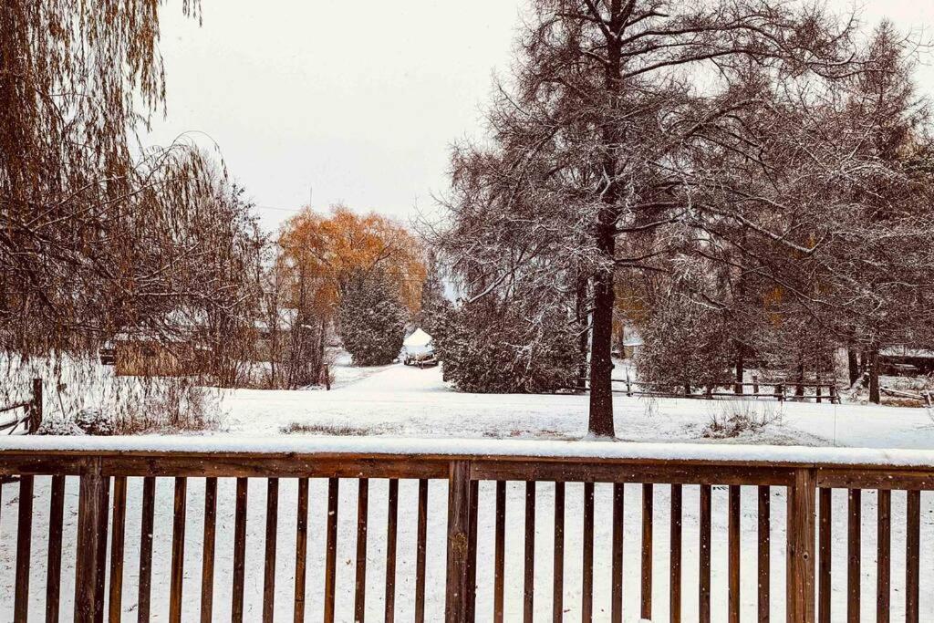 Beautiful Cottage 14’ft swim spa, Sauna & Kayaks