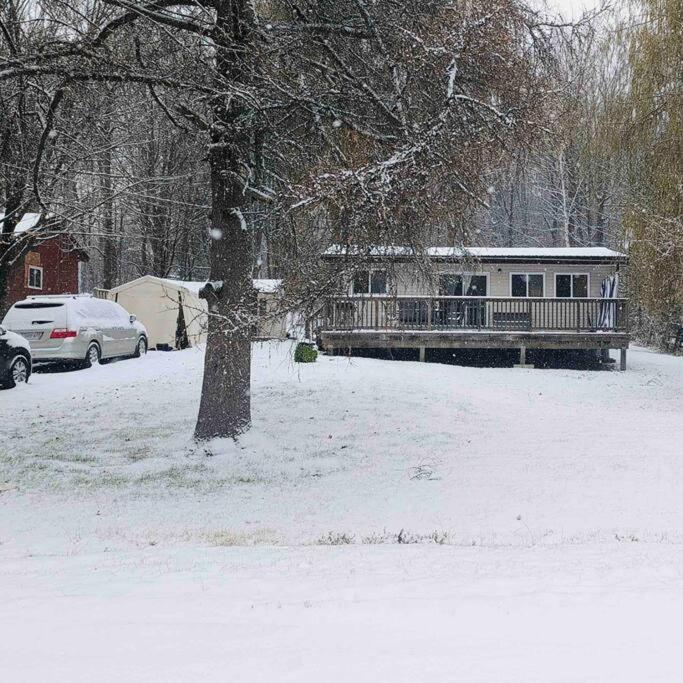 Beautiful Cottage 14’ft swim spa, Sauna & Kayaks