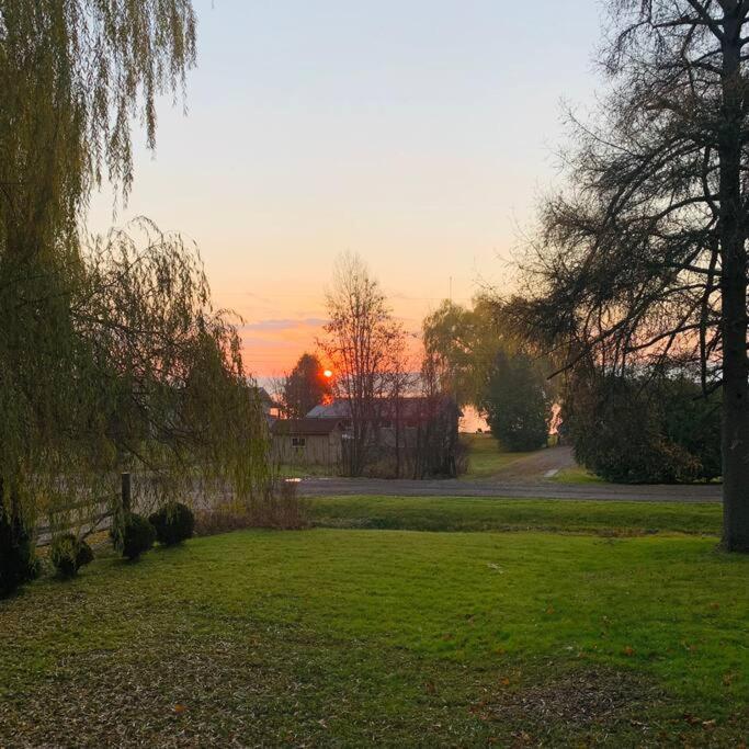 Beautiful Cottage 14’ft swim spa, Sauna & Kayaks