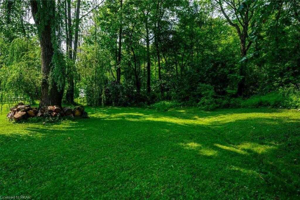 Beautiful Cottage 14’ft swim spa, Sauna & Kayaks